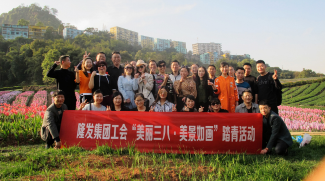 QQ截图20181115163740