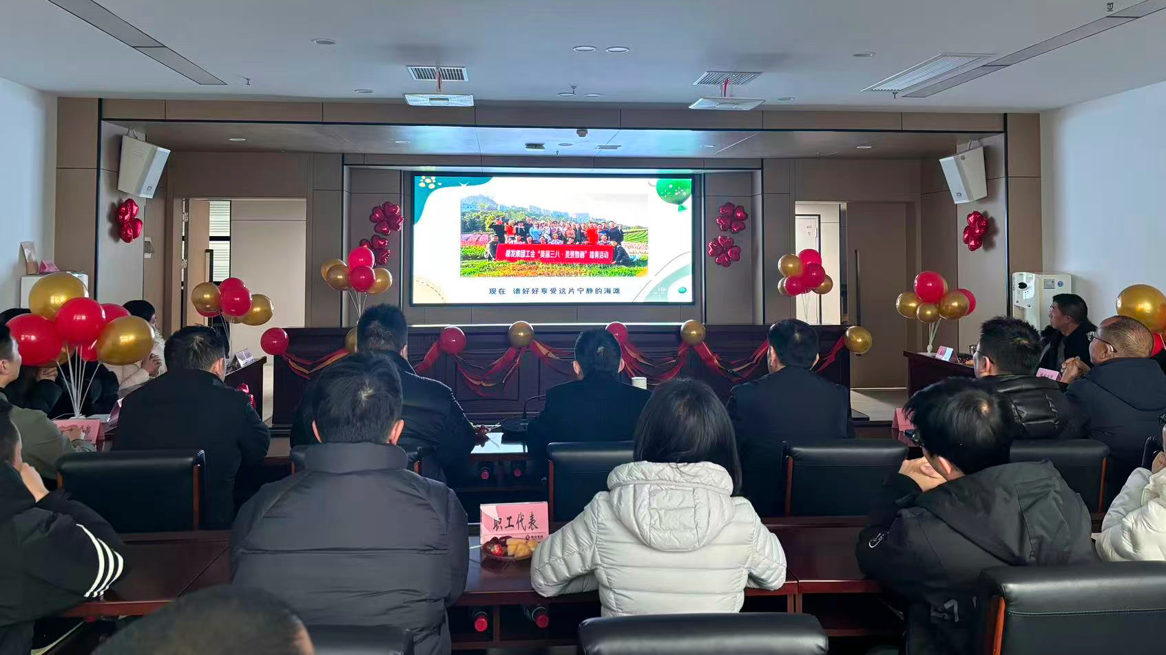 全体背影图 全体背影图